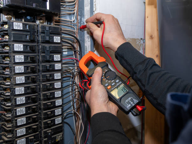 Best Electric Panel Repair  in Ellenville, NY